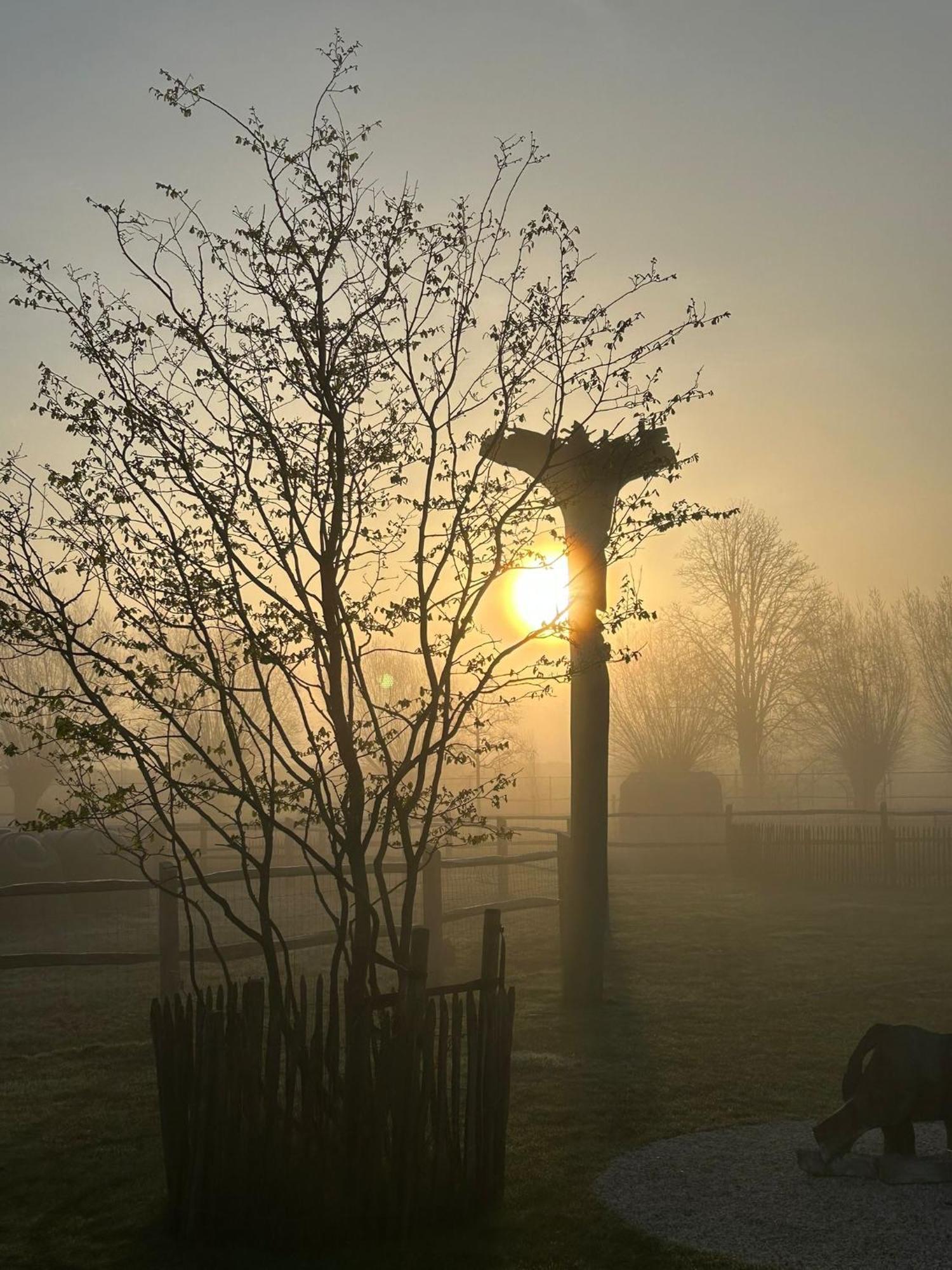 B&B De Alffarhoeve Hamme Buitenkant foto